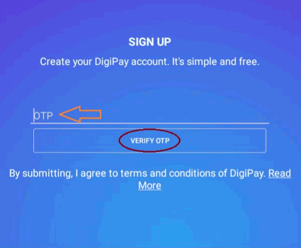 DigiPay (v6.7) for Windows