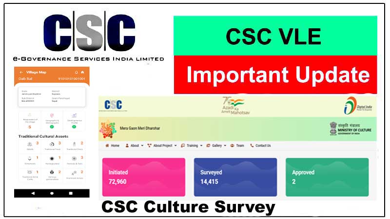 CSC Culture Survey Work