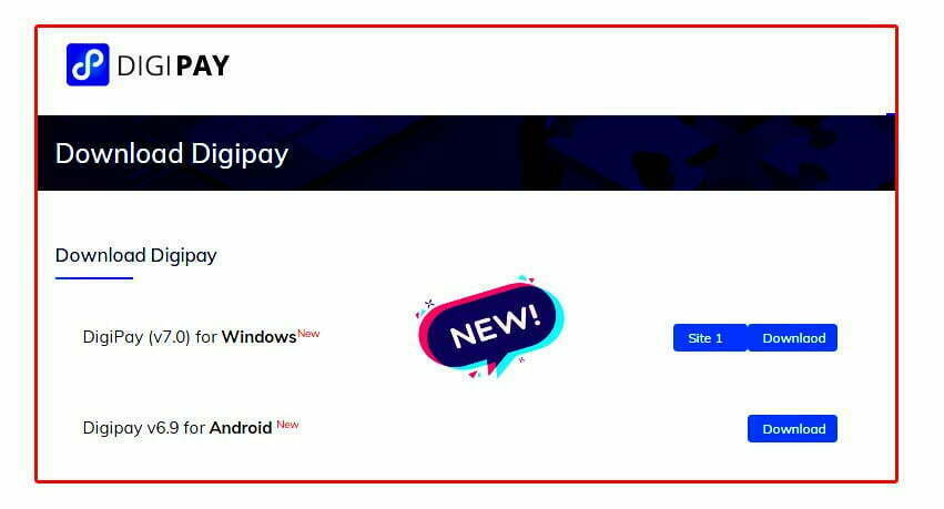 DigiPay (v7.0) for Windows